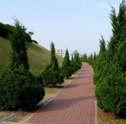 什么是園林磚？